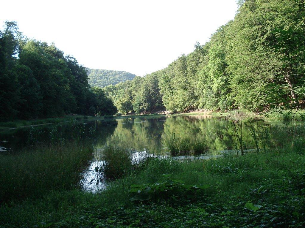 Seoski Turiziam Larva Trenkovo Zewnętrze zdjęcie