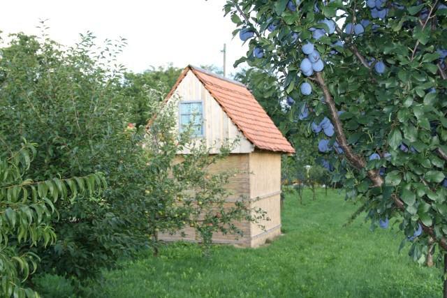 Seoski Turiziam Larva Trenkovo Zewnętrze zdjęcie